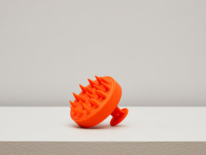 Scalp Brush